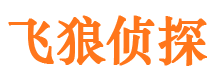 改则飞狼私家侦探公司